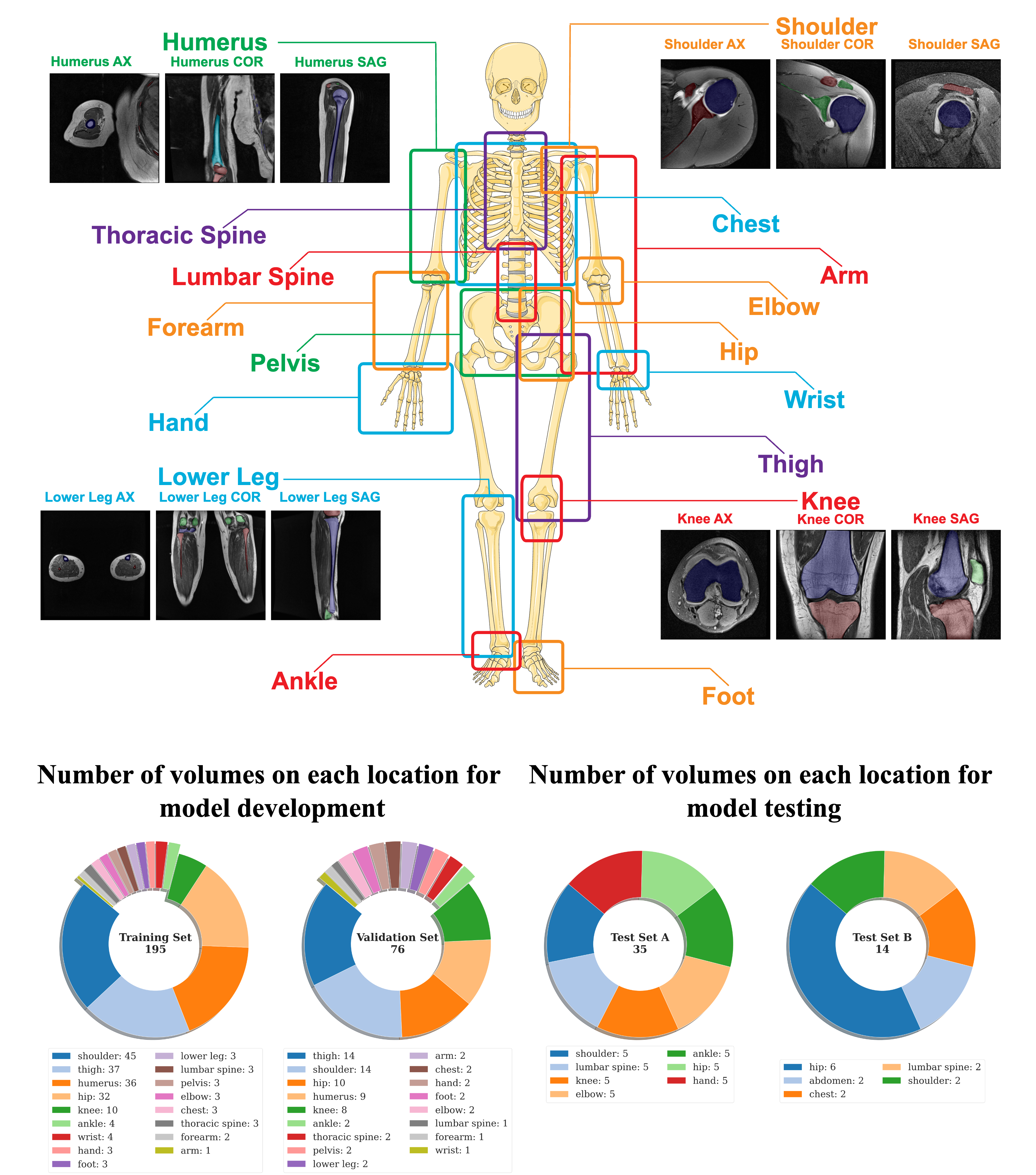WholeBody_dataset.png